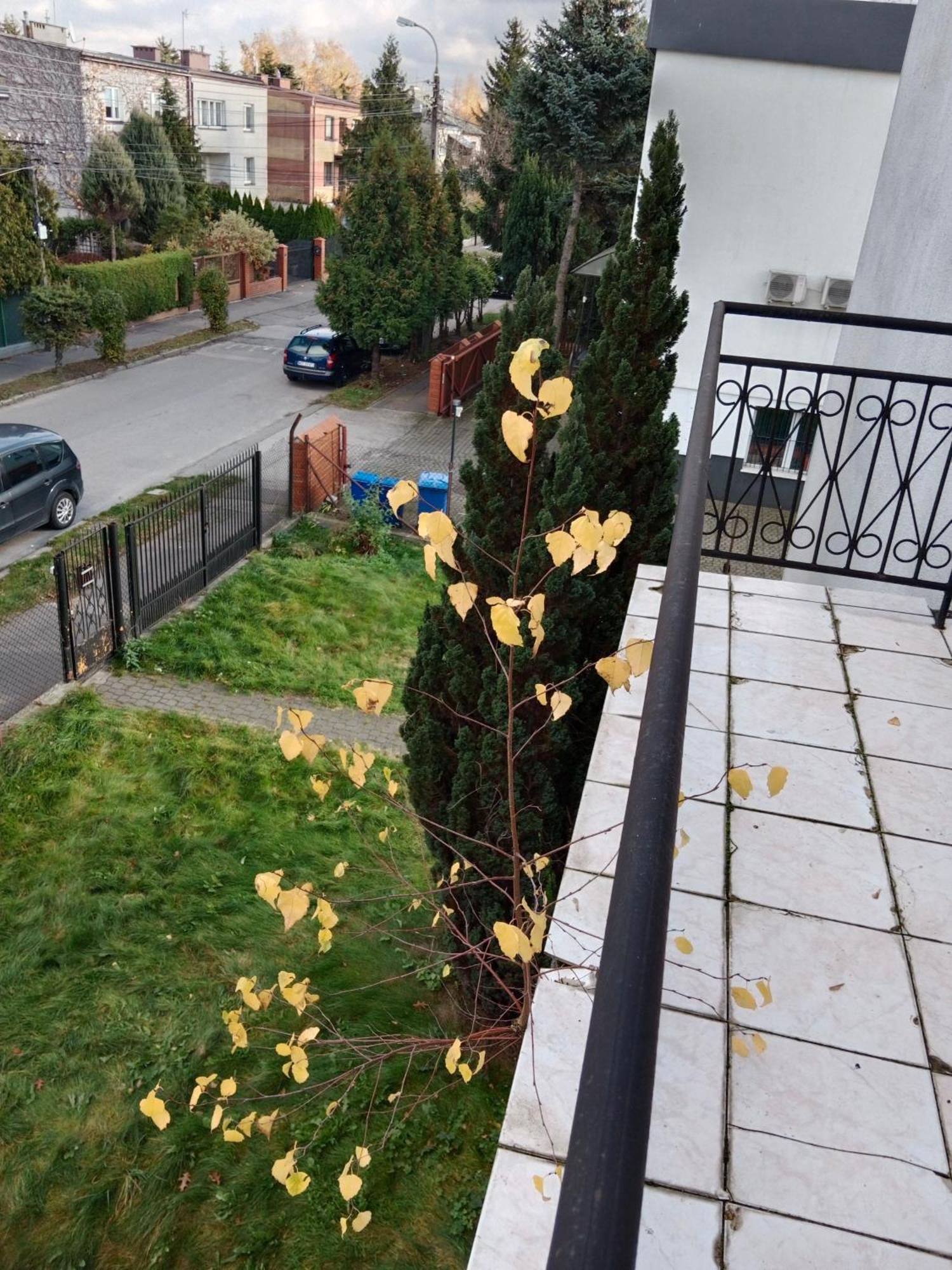 La Madriguera Bed & Breakfast Raszyn Exterior photo